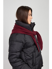 Бактус BS-10 Бордовий