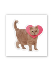 3D стікери "Love Meow" SX-367 Тимчасові тату