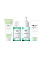 Набір мініатюр з чайним деревом SKIN1004 4 шт Madagascar Centella Tea-Trica Travel Kit