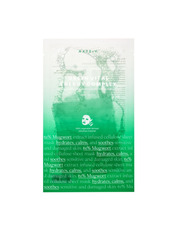 Тканинна маска зволожуюча AXIS-Y 27 мл Для всіх типів Універсальний Заспокоєння, зволоження Mugwort Green Vital Energy Complex Sheet Mask