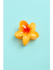 Крабик KR-0317 Помаранчевий