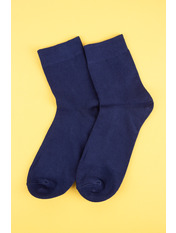 Чоловічі шкарпетки A-9502 Синій