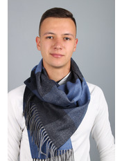 Чоловічий шарф Родерік Синій яя_180*30