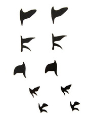 Боді-арт X-099 Пташиний ключ