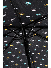 Парасоля Хіларі