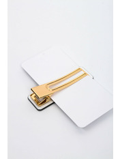 Заколка Бріана