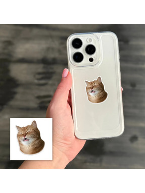 3D стікери "Funny Cat" SX-380