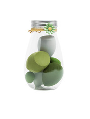 Набір спонжів в банці Famo Зелений