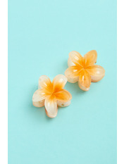 Набір крабиків NKR-0323 Помаранчевий