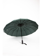 Жіночі парасолі PK-33916 Зелений