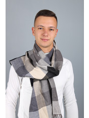 Чоловічий шарф MS-02 Сірий+бежевий Коричневий Бежевий Сірий