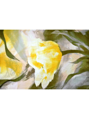 Шовковий палантин Кателіна