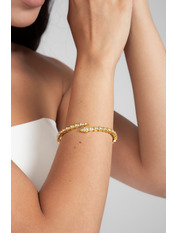 Браслет BRS-315 Золотистий