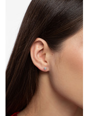 Сережки пусети SER-13624 Сріблястий